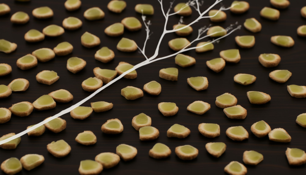 Le référencement naturel, un levier de croissance pour le B2B